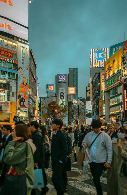 Tracey.Tokyo Premium Domain